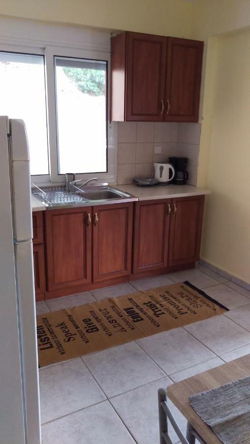 Dimitris & Vassiliki'S Apartment Ποσείδι Εξωτερικό φωτογραφία